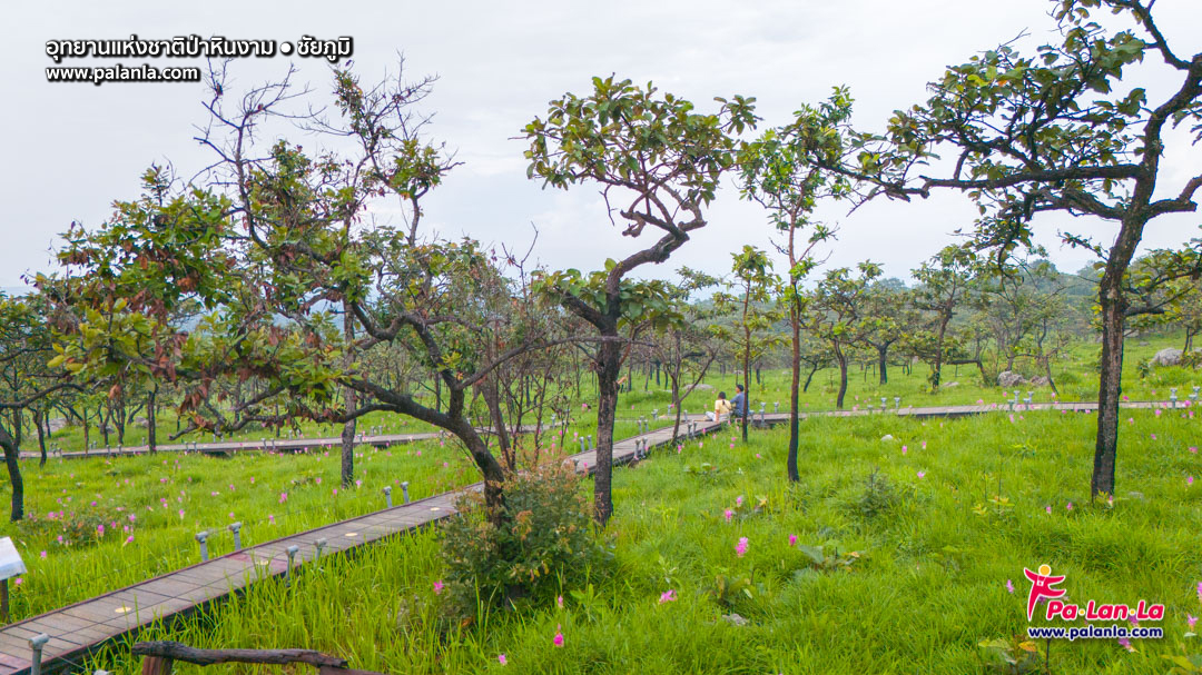 Pa Hin Ngam National Park